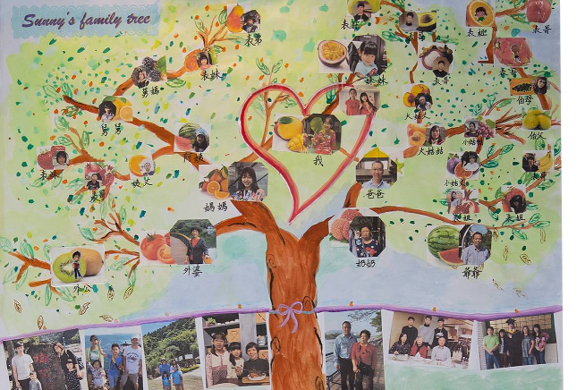 葉姝晴的家族樹凝聚了家族間的情感