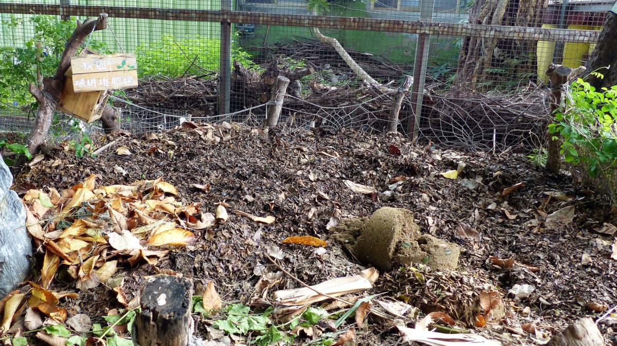臺中國小利用生廚餘與落葉堆肥製作出肥沃的土壤完全無臭味