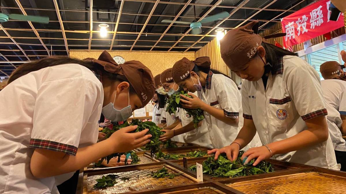 魚池國中紅鑽茶課程教學製茶