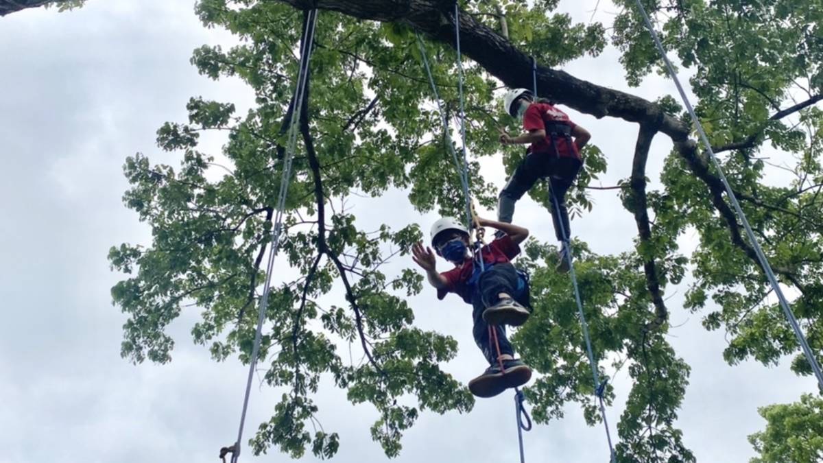 長福實驗小學攀樹課程 小朋友變勇敢