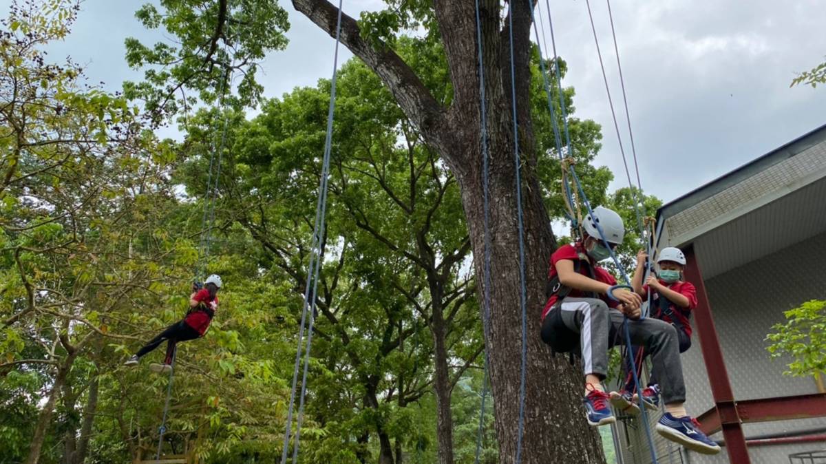 攀樹，教孩子克服恐懼