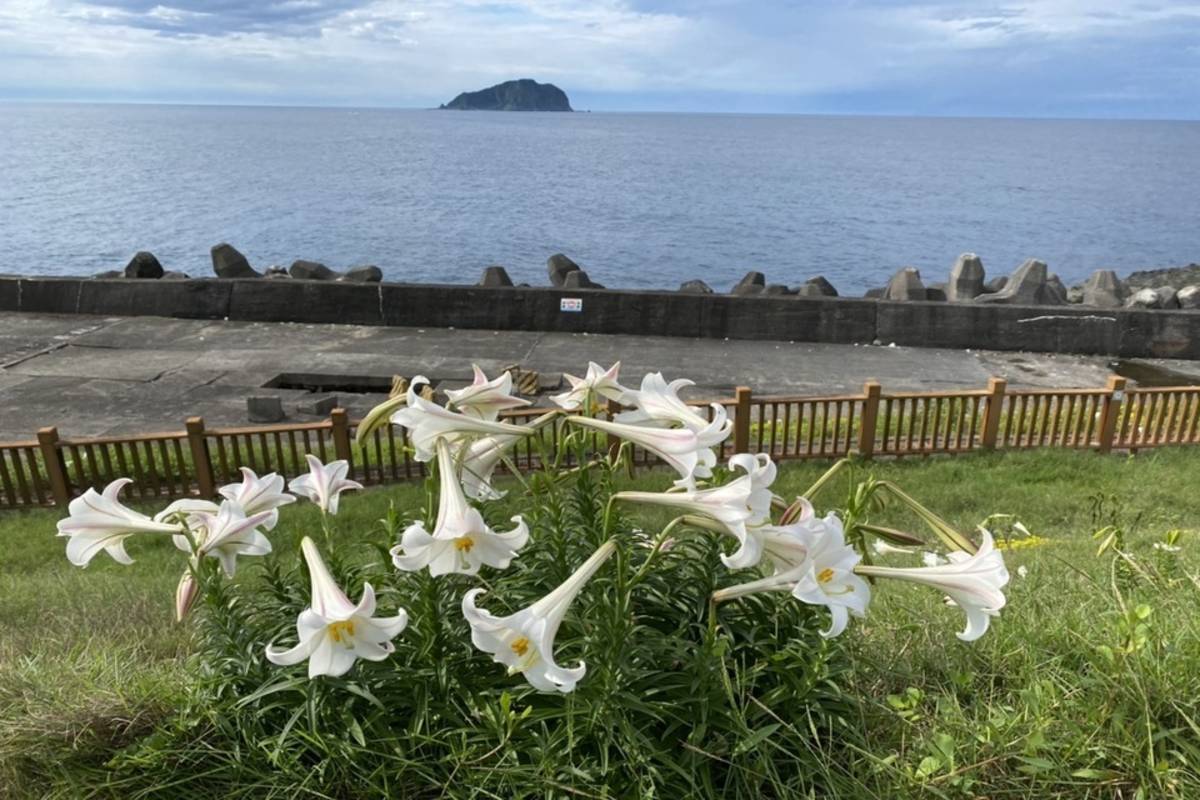 歡迎大小朋友在空閒時能到海科館看見大海與臺灣原生百合的綻放 (海科館提供)