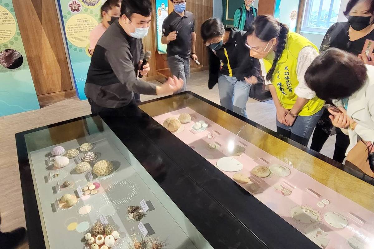 「海膽大驚奇」特展移師臺東縣自然史教育館，展出近百件典藏海膽標本及化石，還有多項大型互動式展品，顛覆大眾對海膽的刻板印象。