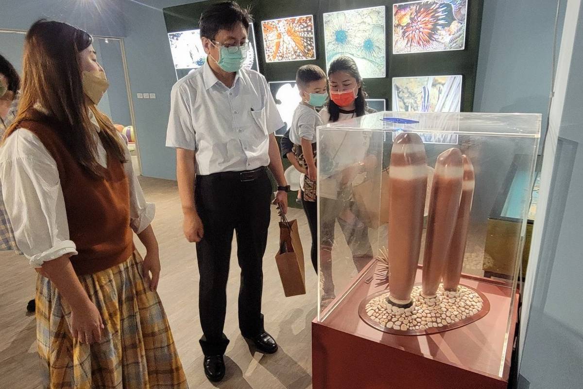 「海膽大驚奇」特展移師臺東縣自然史教育館，展出近百件典藏海膽標本及化石，還有多項大型互動式展品，顛覆大眾對海膽的刻板印象。
