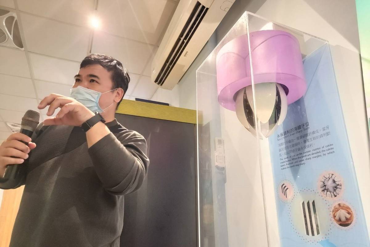 「海膽大驚奇」特展移師臺東縣自然史教育館，展出近百件典藏海膽標本及化石，還有多項大型互動式展品，顛覆大眾對海膽的刻板印象。
