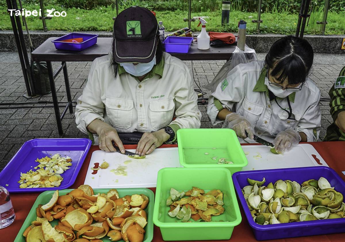 動物園同仁自發性的收集廢棄果皮以及無尾熊吃剩的尤加利葉，製作環保清潔劑