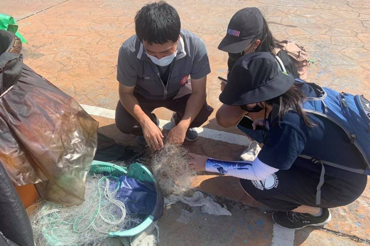 青少年壯遊團隊「一隻鯊魚」實際了解花蓮漁業