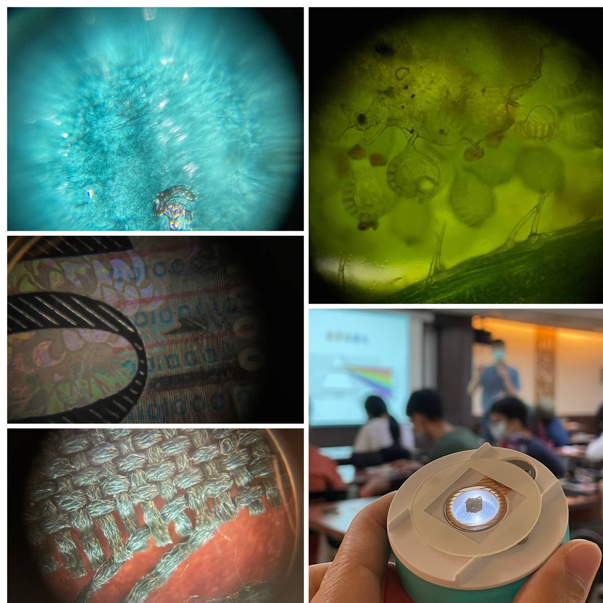 葉長青博士帶領大家使用「行動顯微鏡」，觀察金箔、鈔票、織品與蕨類的孢子囊等樣本