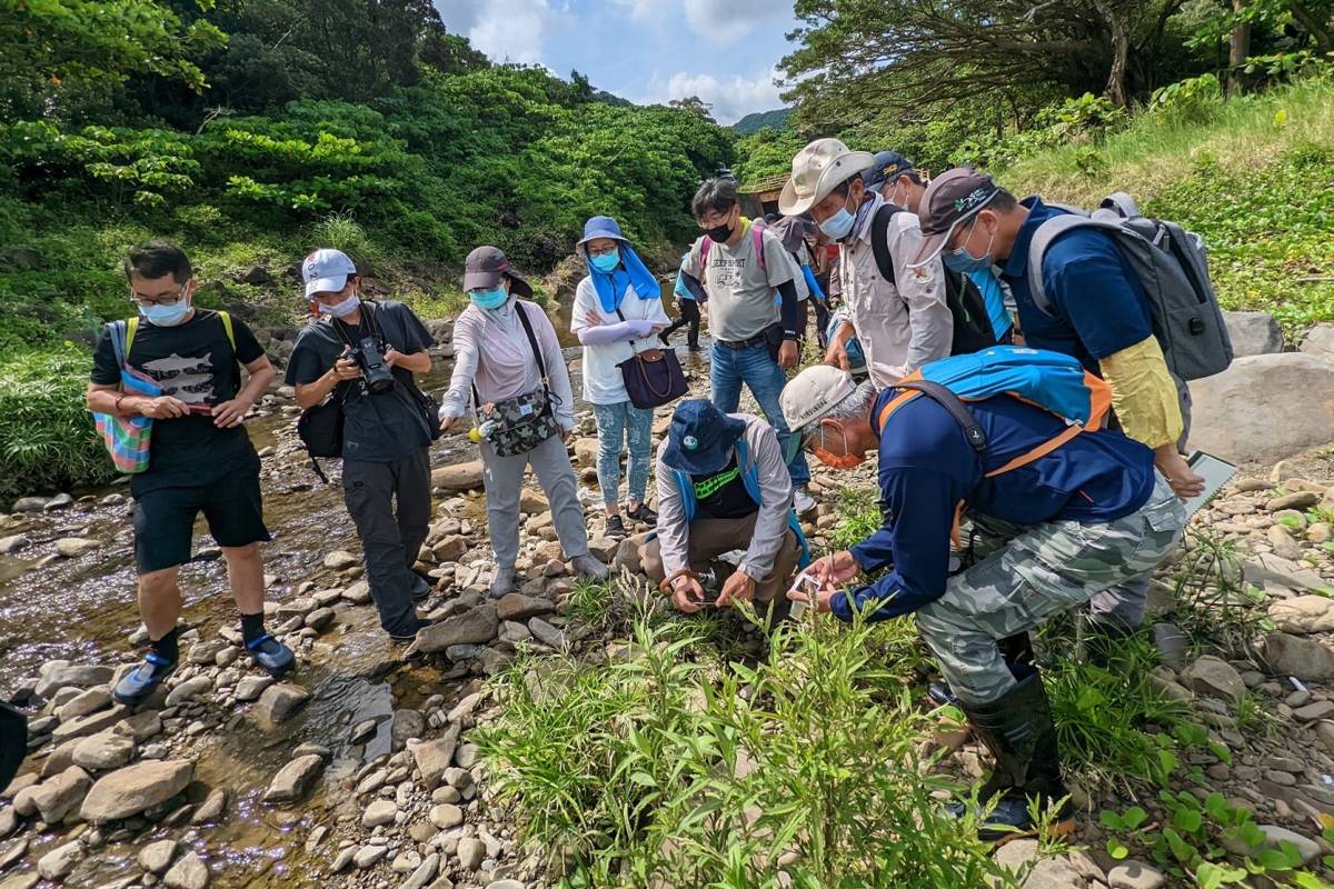 實地生態踏查