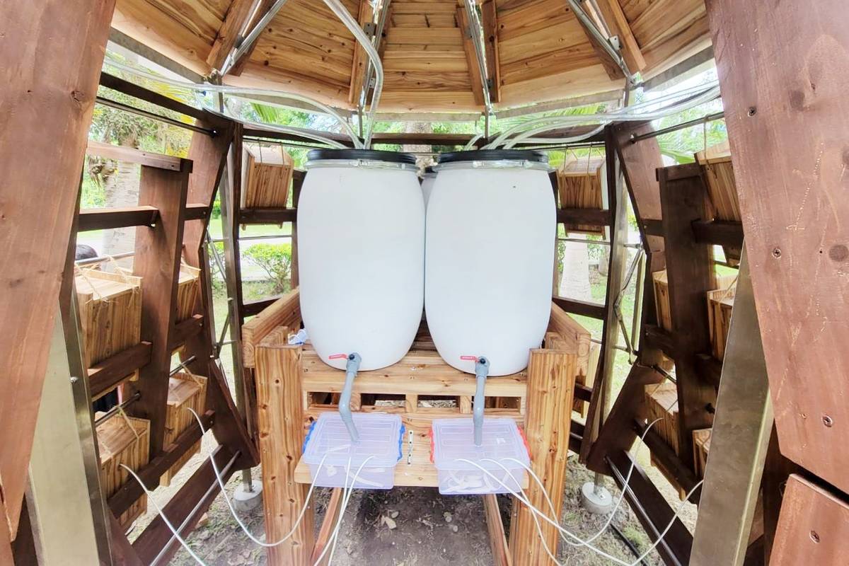 建築空間內的水資源循環系統，蒐集雨水滋養外牆植物生長。