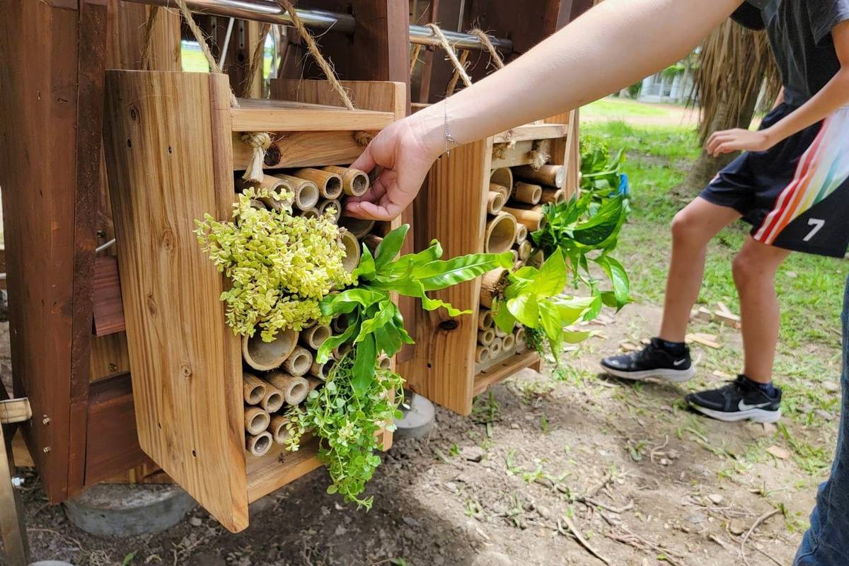自然建築外牆的植物箱栽植阿美族傳統食用野菜。