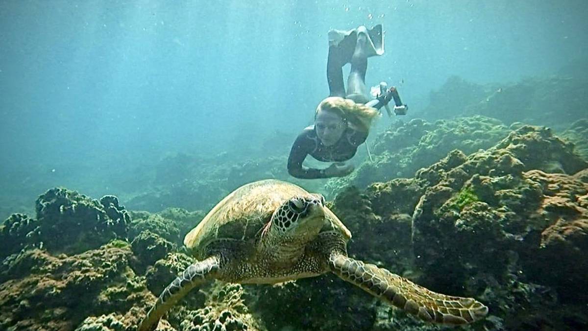 Angela swimming with the sea turtles in Xiaoliuqiu! 