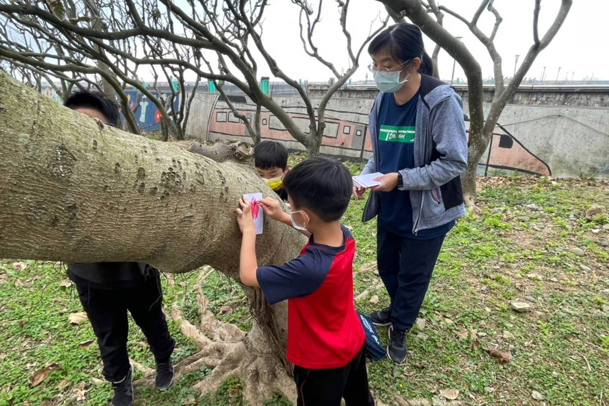 石門國小水黃皮樹皮拓印