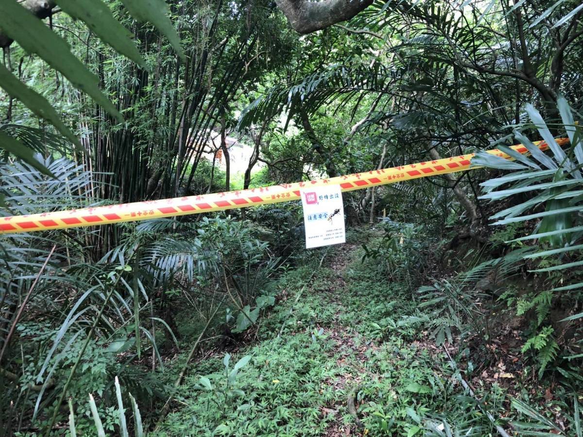 發現蜂巢尚未摘除前 出入口拉上封鎖線 防止民眾進入發生危險