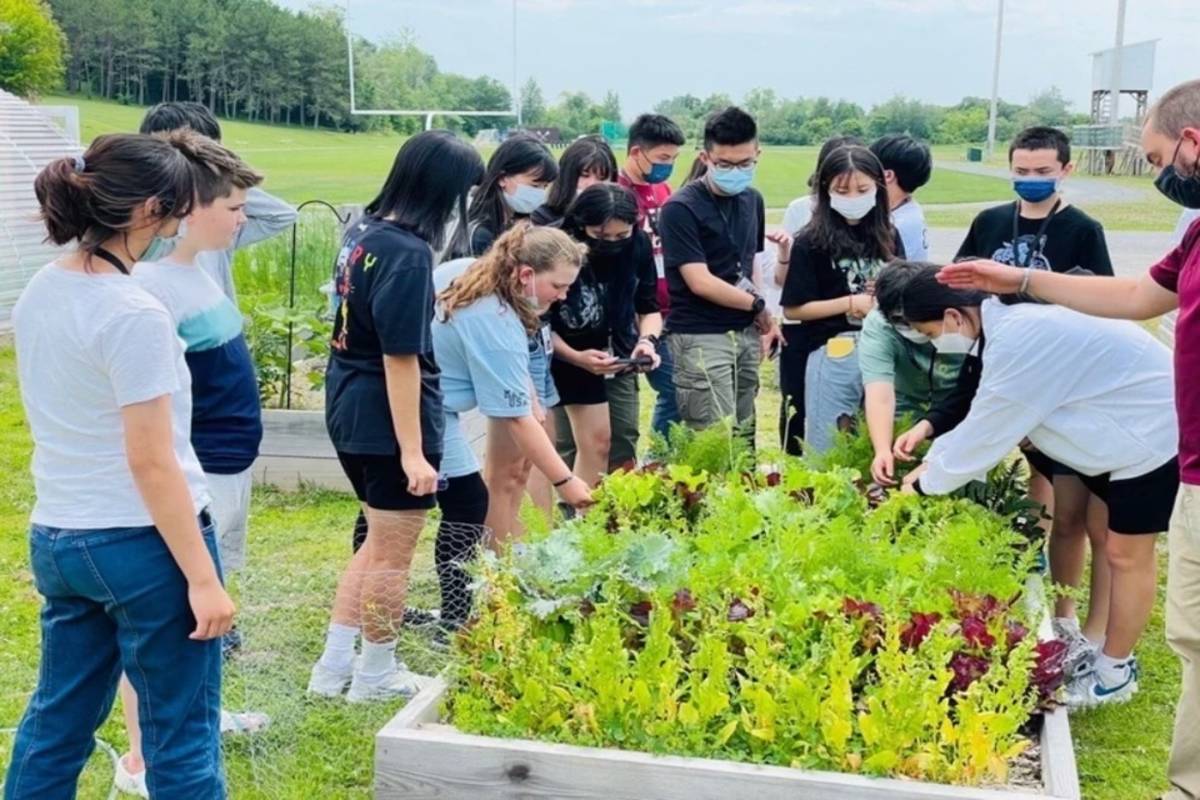 桃園市教育局在今年暑期以國際教育的課程教學面向規劃「臺美雙聯暑期赴美夏令營」(桃園市教育局提供)