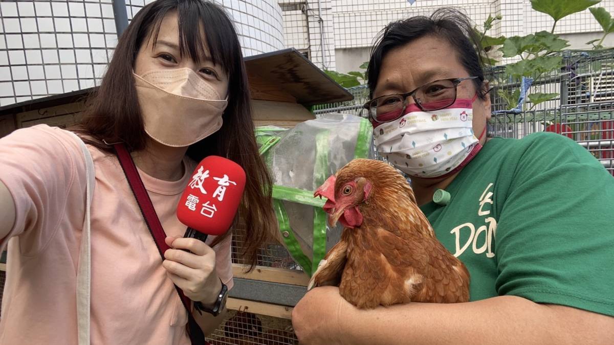 姚瑤照服員(右)介紹失智長輩照顧的輔療雞