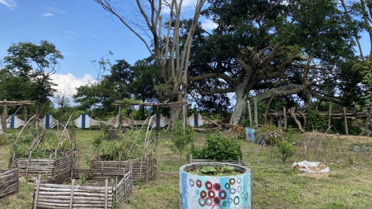 不老農場菜園
