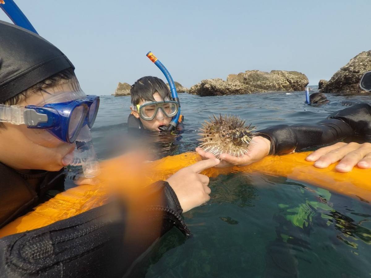 今年「夏日樂學」特別規劃兩週一系列的海洋教育課程