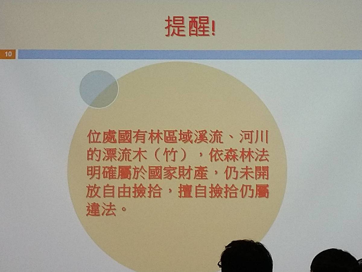 林務局宣布鬆綁漂流木撿拾規定