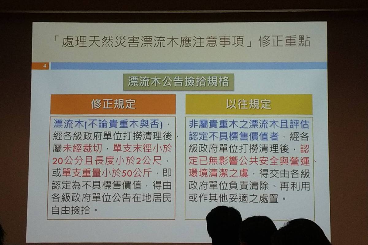 林務局宣布鬆綁漂流木撿拾規定