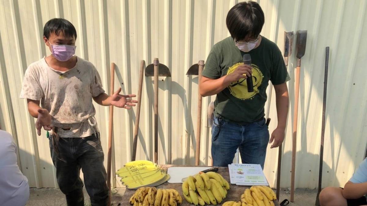 台青蕉-阿沅(左) 王繼強(右)介紹香蕉的種類