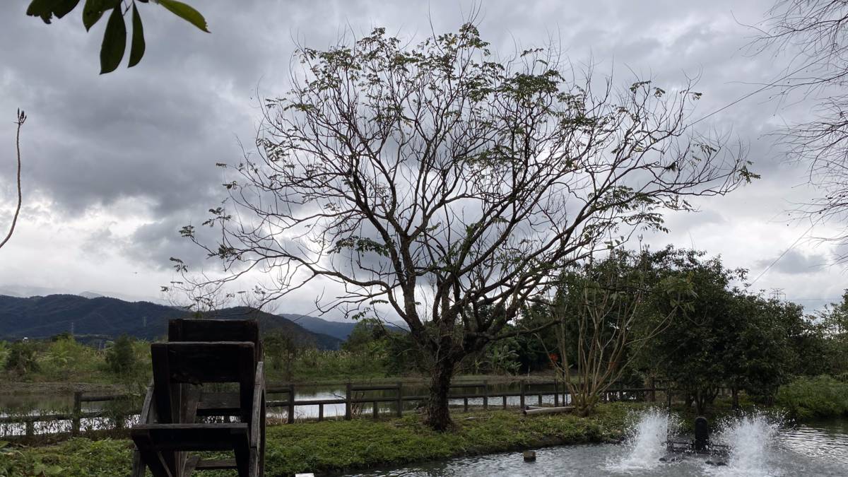 烏雲密布的颱風天