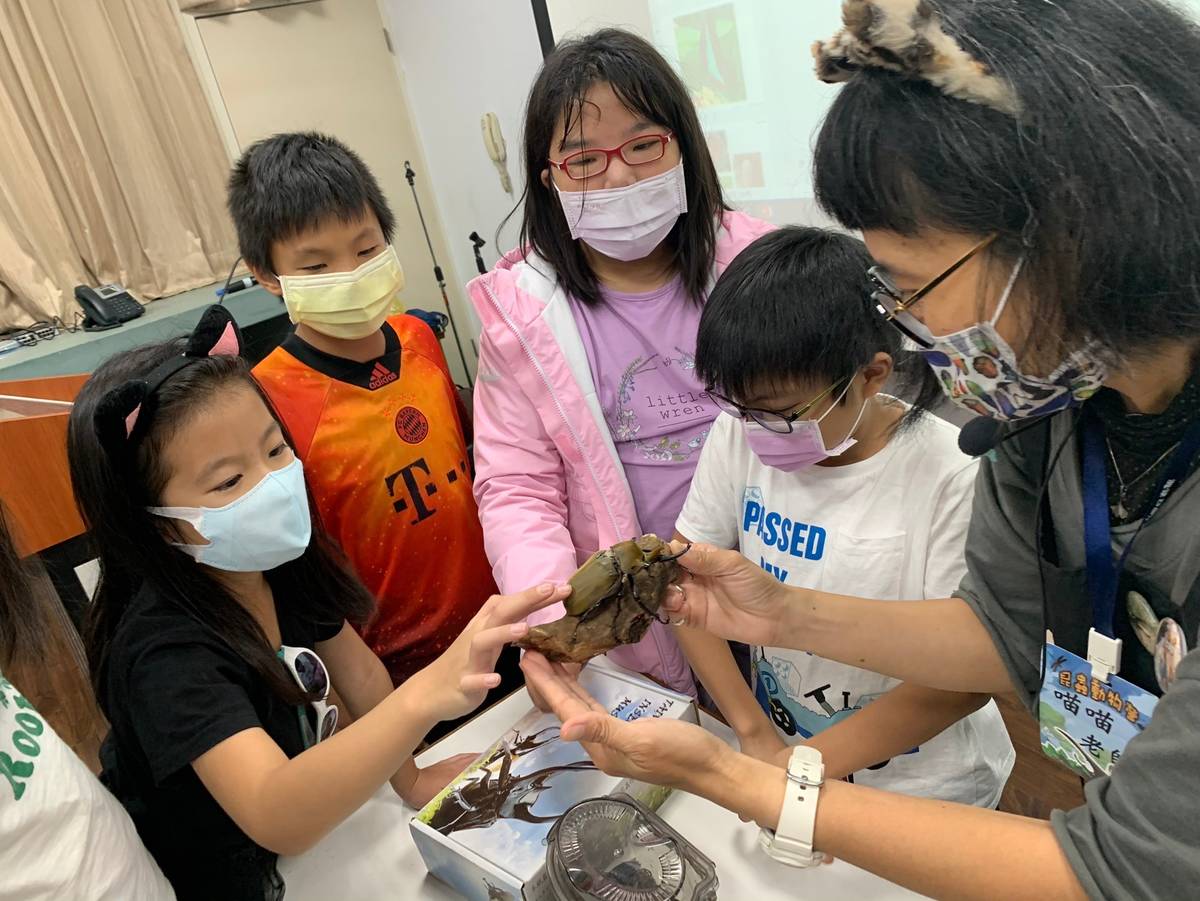 校園宣導活動帶領小朋友認識都市常見昆蟲及外來種動物