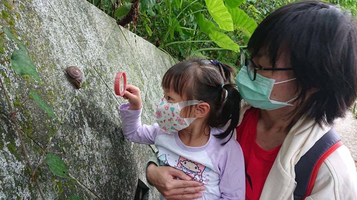 戶外生態探索活動讓小朋友認識都市常見昆蟲