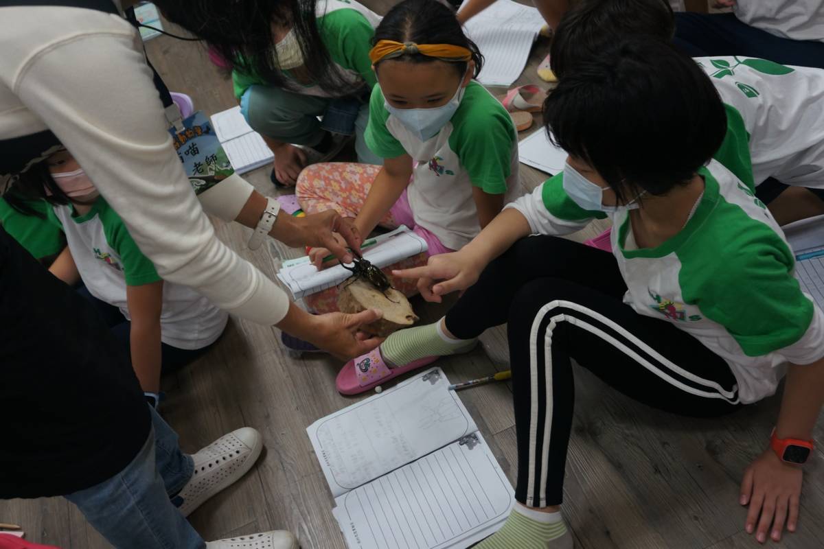 臺北市「都市昆蟲生態大探索」教育宣導活動自9月起前進校園