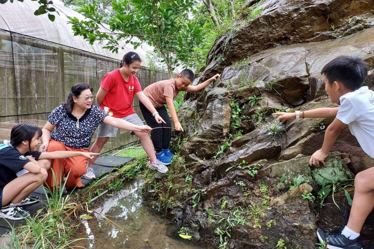 東山國小學生觀察垂直濕地的岩壁
