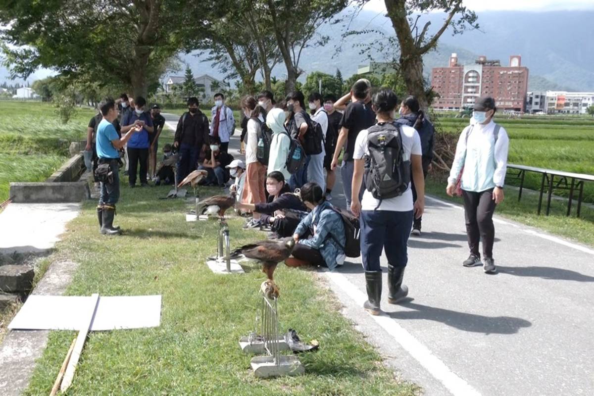 活動邀請馴鷹師示範友善驅鳥，學生難得有機會跟老鷹近距離接觸。