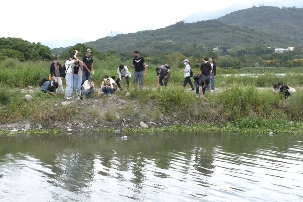 活動中帶著參與學生認識原生魚種，也教導如何利用「放棍法」移除外來種魚類。