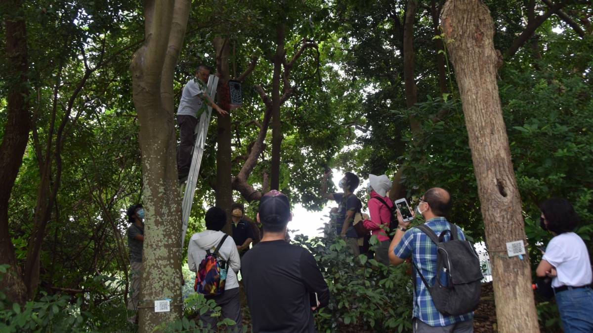 都市奇獸的生態綠洲與秘密廊道教師研習--林文隆博士示範巢箱的架設並說明注意事項