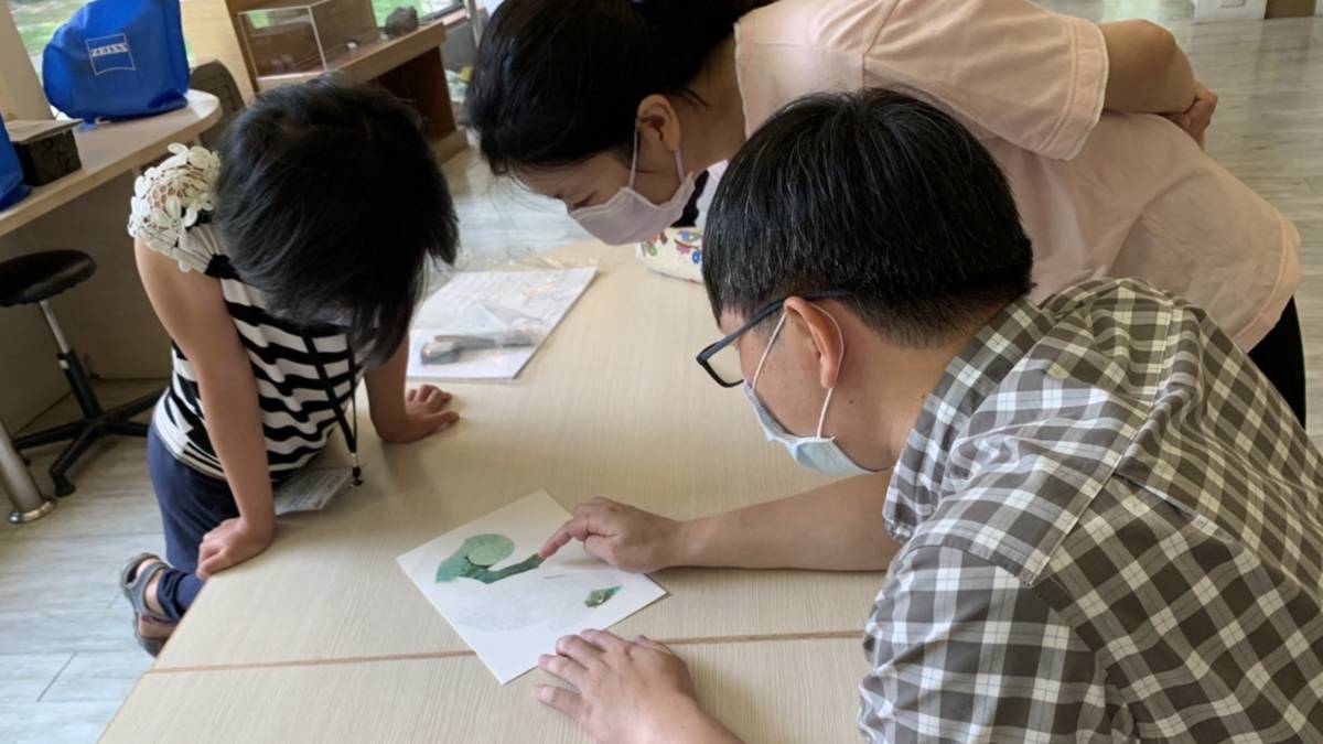 科學繪圖 專家指導時間