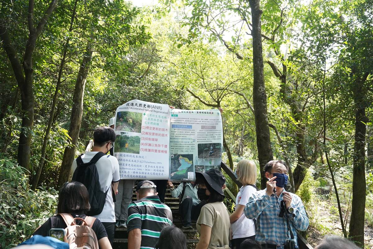 學者在現場說明「促進天然更新」作業方法