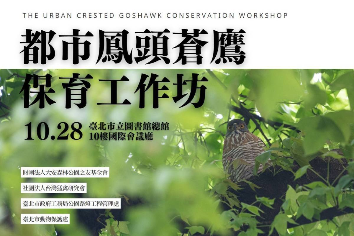 「都市鳳頭蒼鷹保育工作坊」受理線上報名