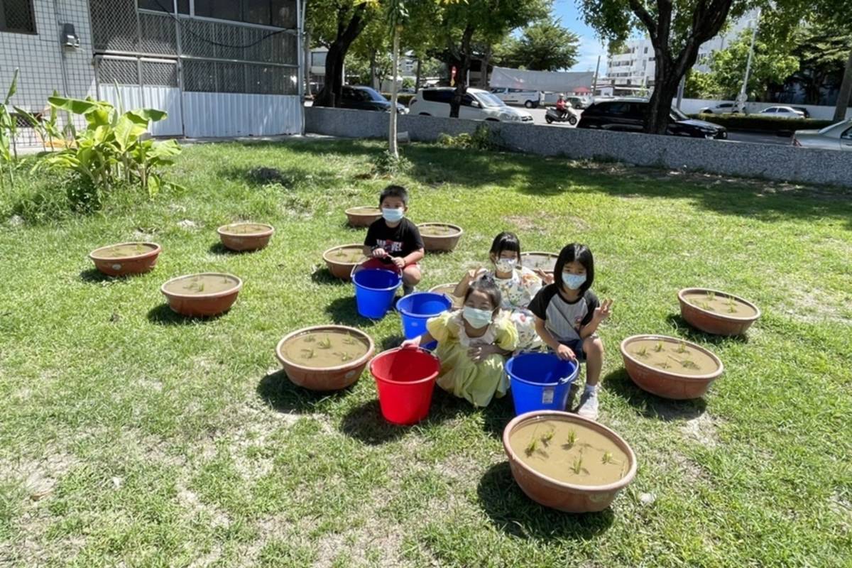 臺東寶桑國小申請農糧署「食米學園」計畫，在校園種稻，紀錄稻米成長到收割的過程，也學習如何選購好米，挑戰製作米食創意料理，從農田到餐桌，向下紮根食米教育