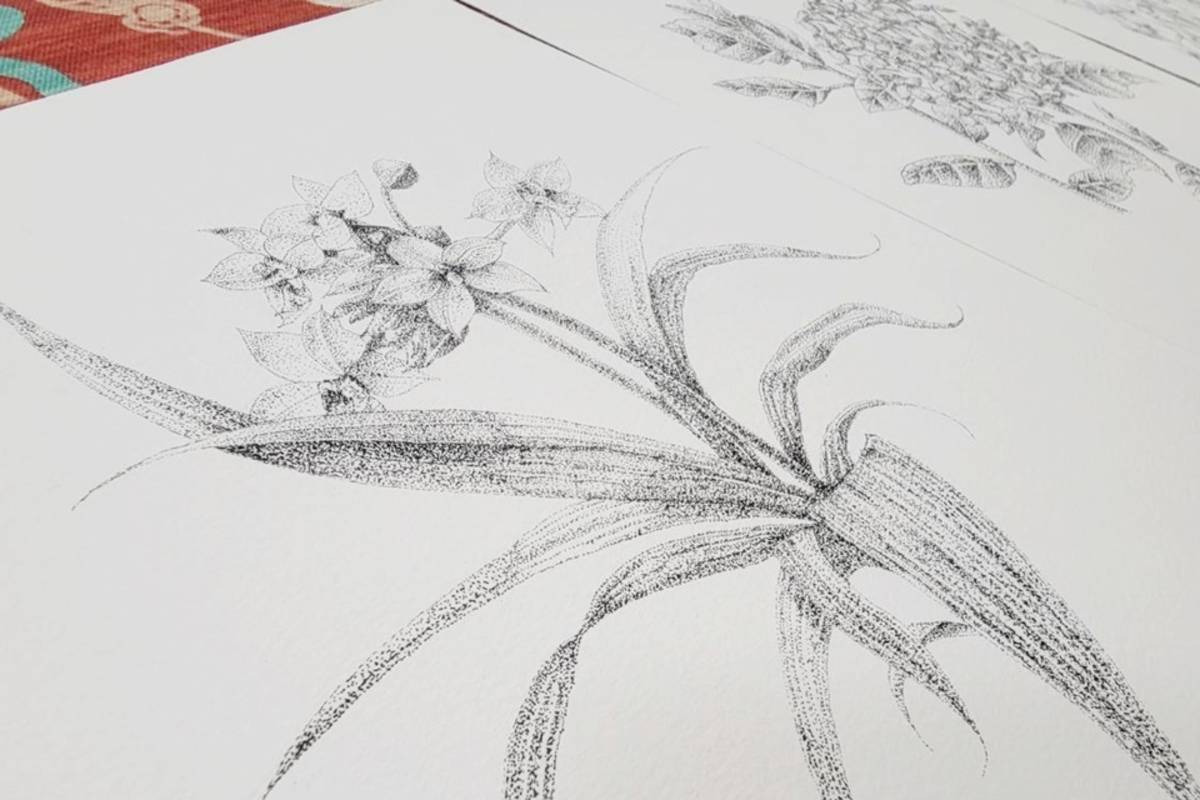 臺東女中美術班高一素描課程，帶著學生進到作品「層山」的生態島中觀察植物，並以代針筆點畫技法進行科學繪圖，各式植物栩栩如生躍然紙上。