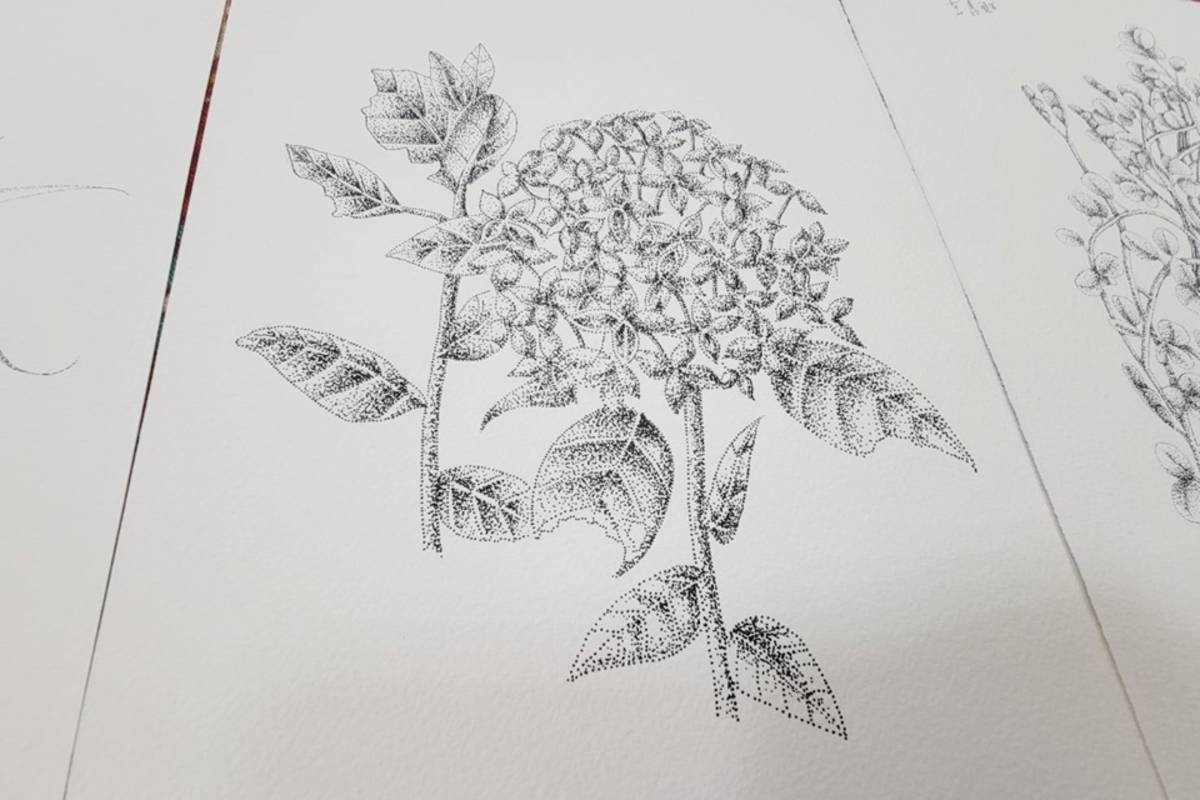 臺東女中美術班高一素描課程，帶著學生進到作品「層山」的生態島中觀察植物，並以代針筆點畫技法進行科學繪圖，各式植物栩栩如生躍然紙上。
