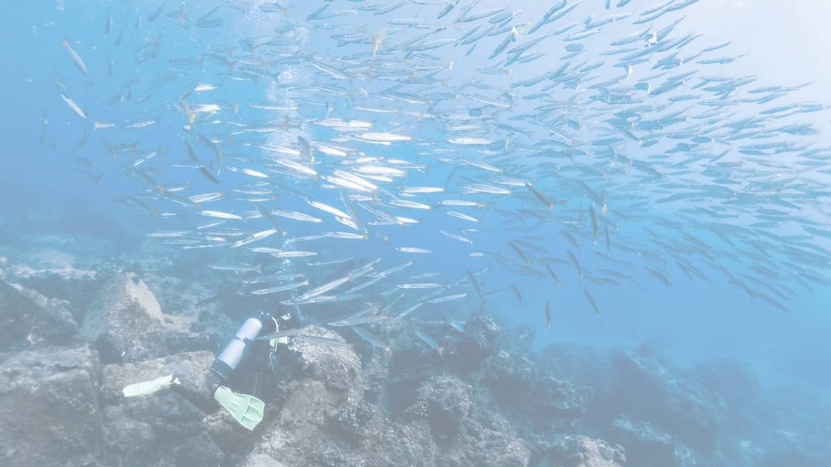 海洋世界.jpg