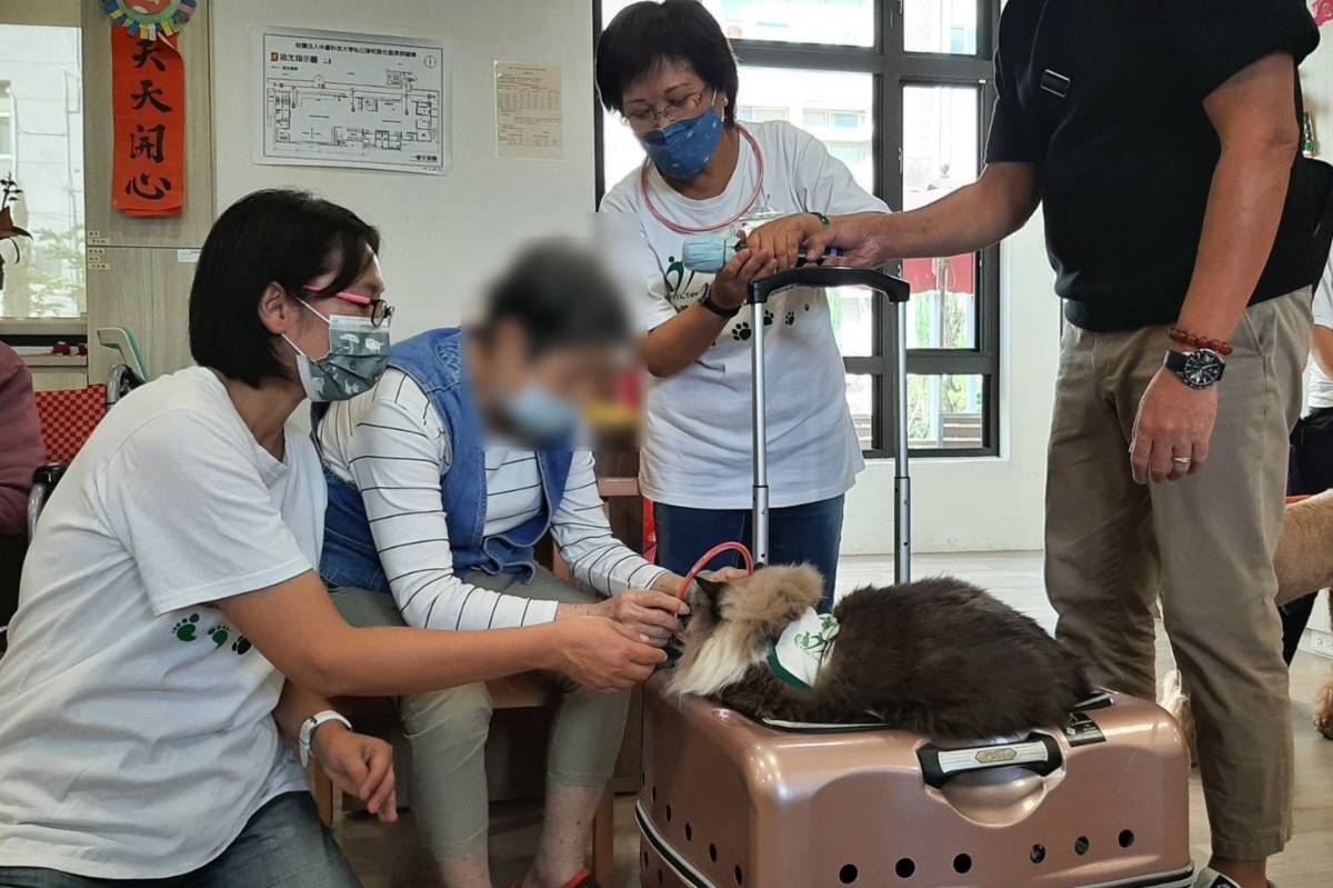動輔師與動輔員引導者長者與治療貓互動