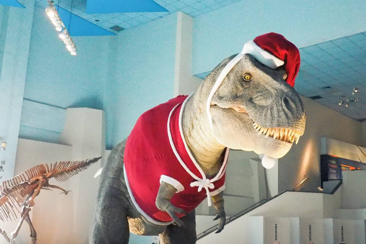 科博館暴龍健檢完，首度穿上聖誕親子裝。圖片來源：國立自然科學博物館
