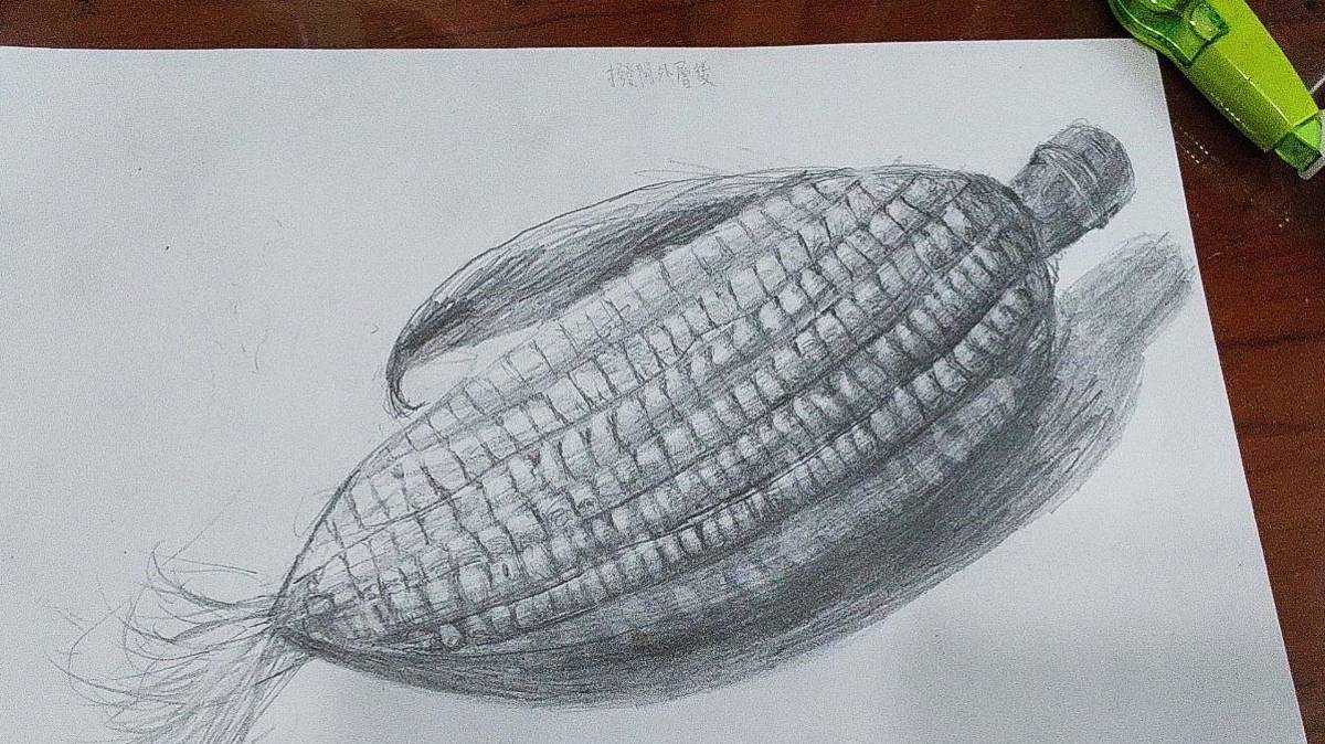 阿中生態農場-學生手繪阿中種的玉米