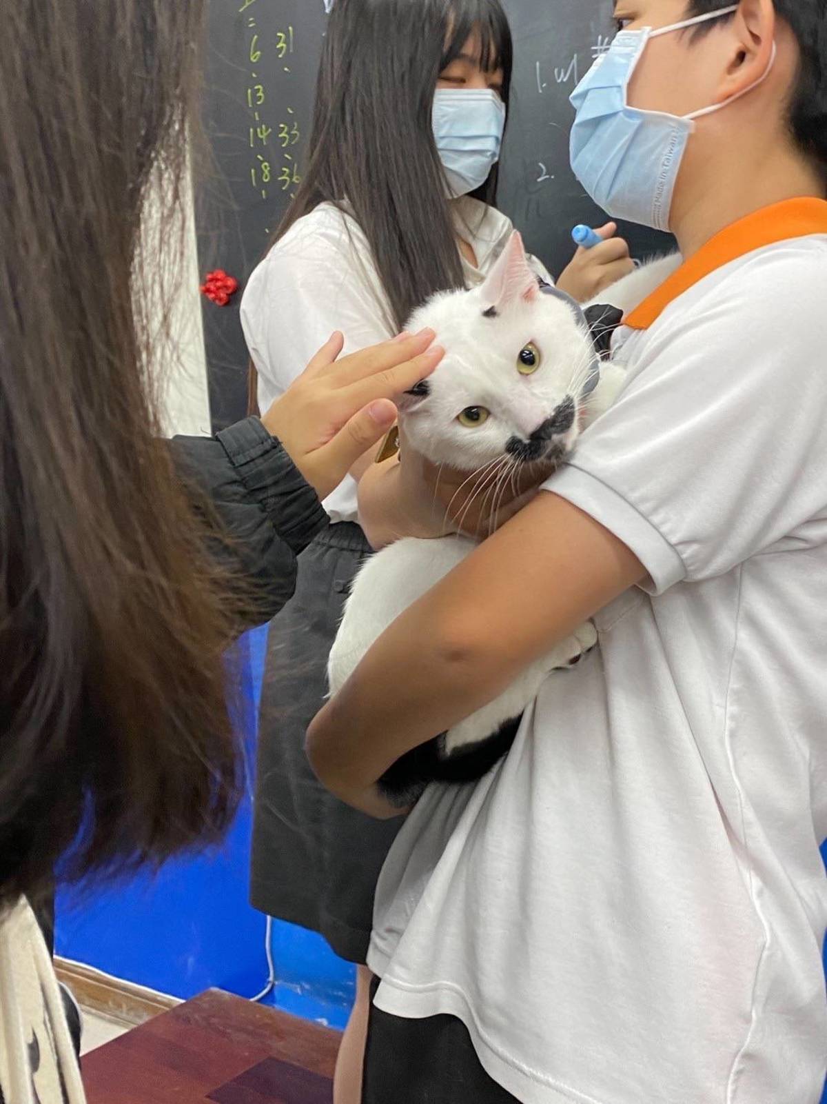 貓咪到各班和同學互動