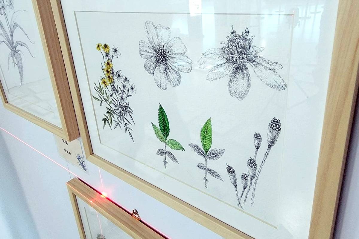 「2022野地博物館－國立臺東女中美術班植物繪圖展」即日起在臺東航空站2樓候機室展出。