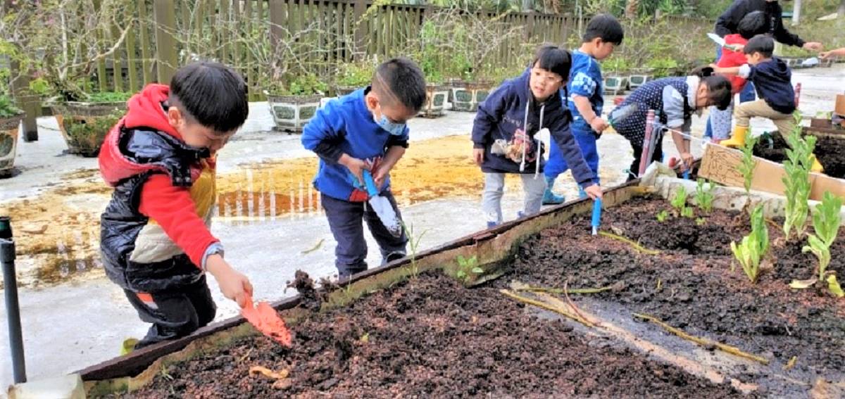插角國小附幼幼生菜園種植蔬菜