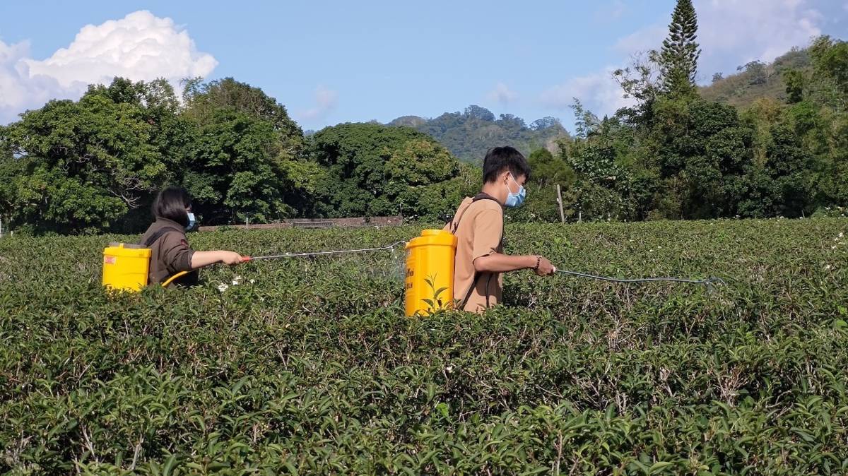 農忙期學生協助施肥