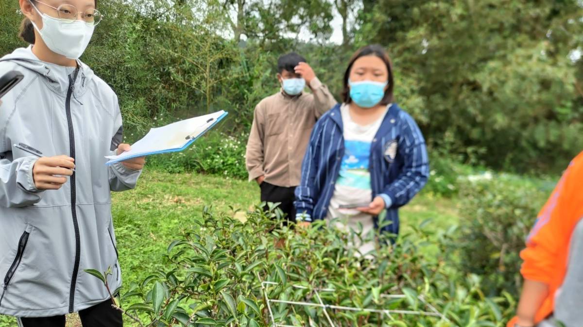 學生進農場研究問題