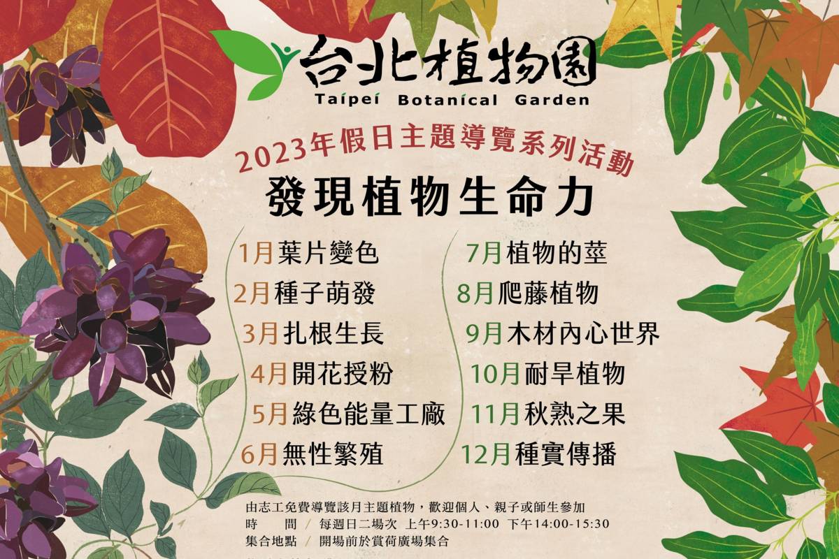 臺北植物園2023年「發現植物生命力」假日主題導覽活動展開，元月份以「葉片變色」為主題。