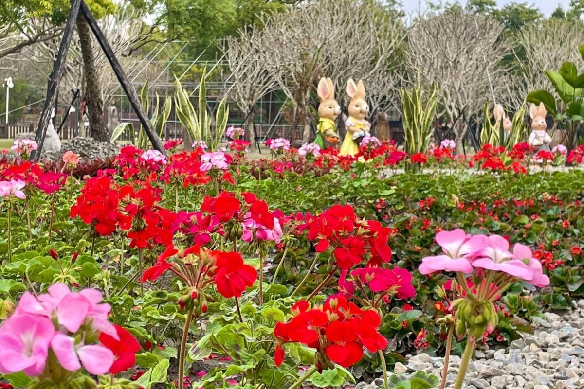 「花在彰化」活動從大年初一開始在彰化溪州花博公園登場(圖片來源：彰化縣政府)